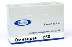 Омнадрен 250, раствор для внутримышечного введения (масляный) 1 мл 5 шт ампулы